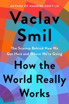 How the World Really Works: A Scientist's Guide to Our Past, Present and Future